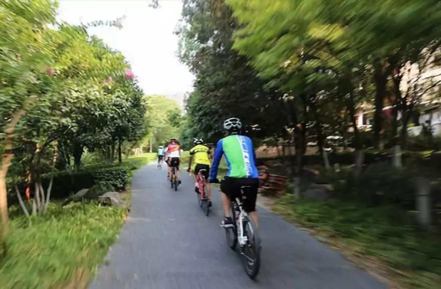 电动自行车：绿色出行的未来选择